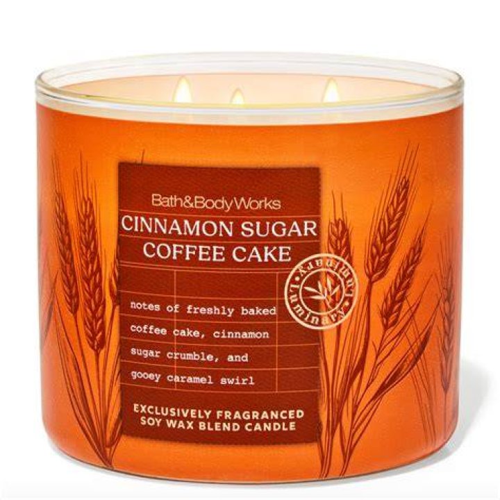 Bath & Body Works Cinnamon Bark candle