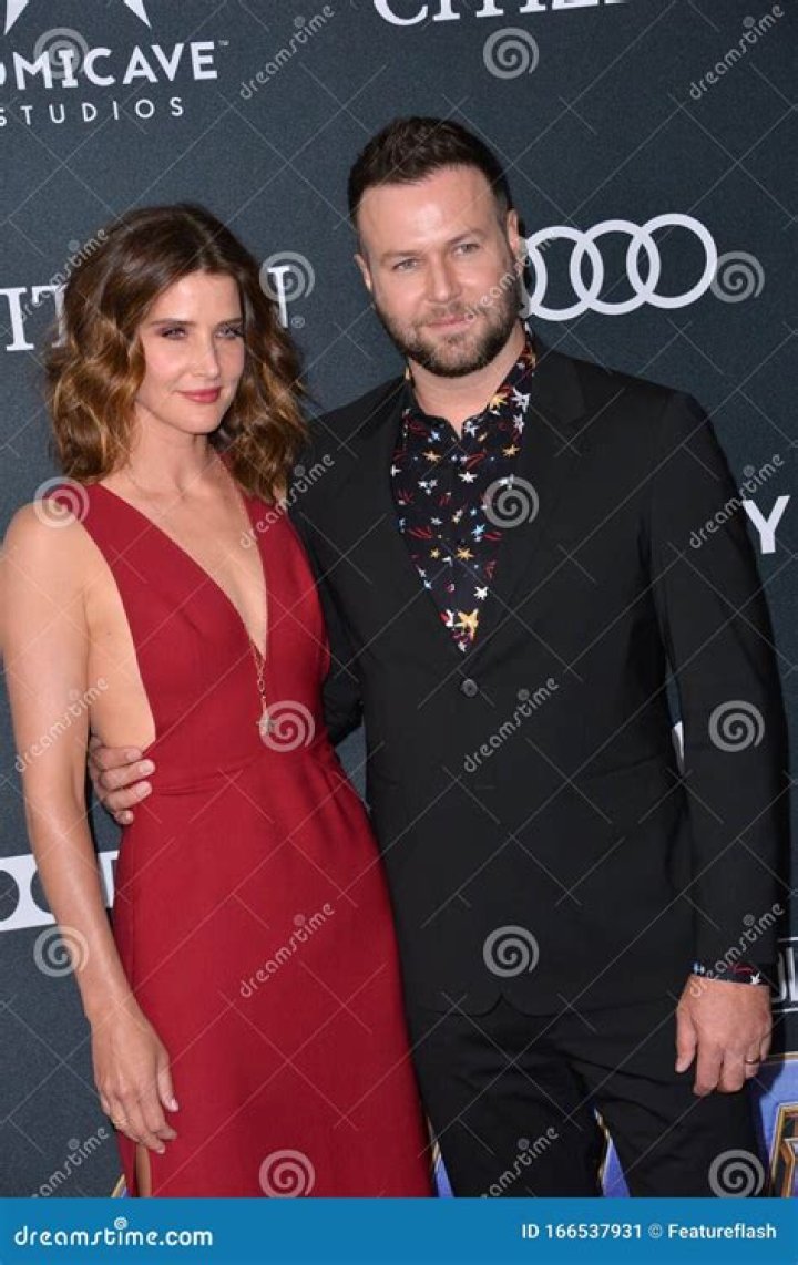 Cobie Smulders & Taran Killam At ABC&rsquo;s TCA Summer Party