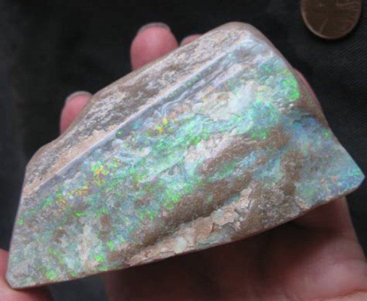 IMG_7777