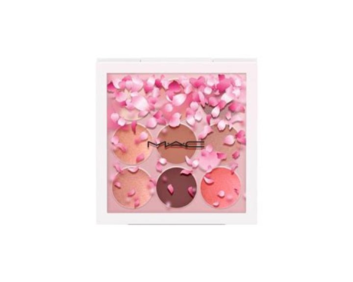 MAC Boom, Boom, Bloom Eye Shadow &ndash; Kabuki Doll Palette, $33, Macy&rsquo;s